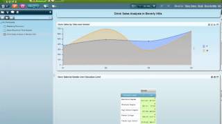 Social Business Intelligence with Panorama Necto screenshot 5