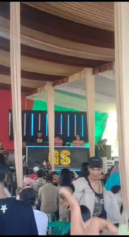 cuplikan Ot golden star talang betutu
