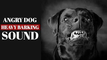 Thumbnail of ANGRY DOG BARKING LOUDLY