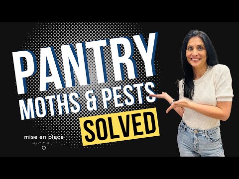 Pantry Moth Mania