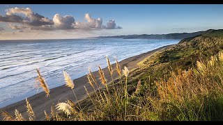 A day Trip to best beach in New Zealand (RAGLAN) Malayalam Video