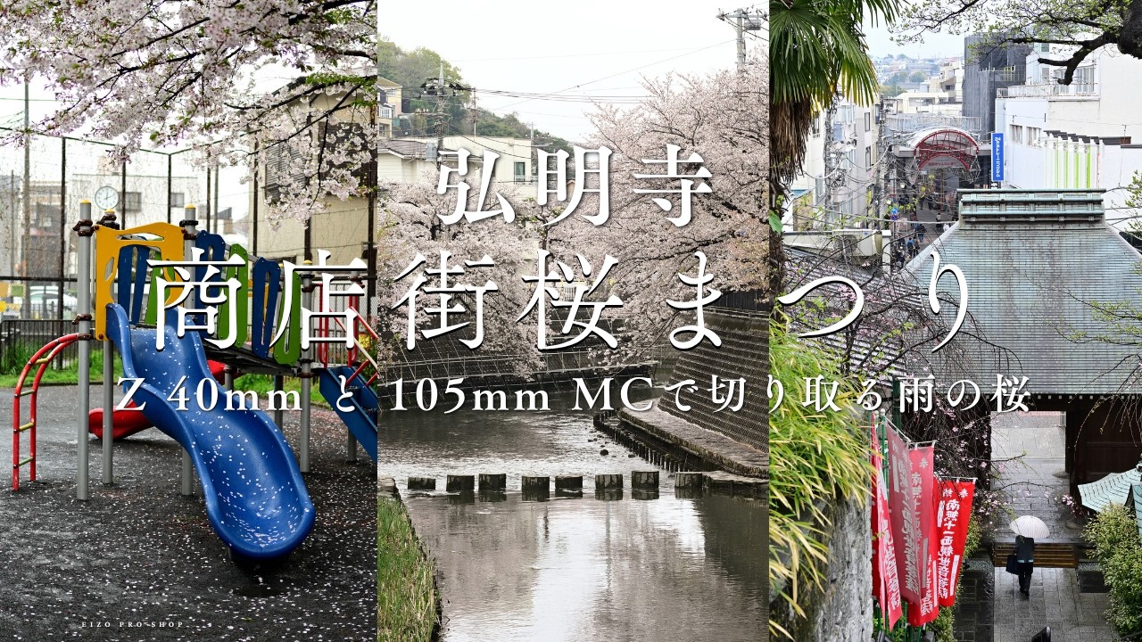 Nikon Z5ii】満開の桜と活気溢れる商店街｜Z 40mm F2 と Z 105mm F2.8