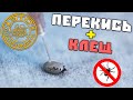 КЛЕЩ и Перекись Водорода — Это Подтверждено