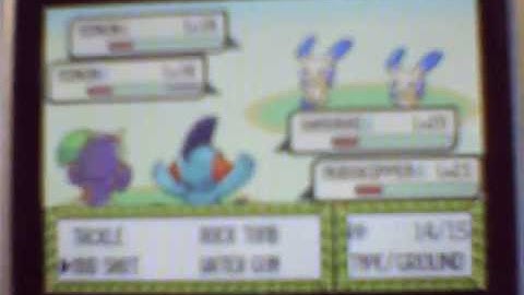 Pokemon Emerald Walkthrough Part 12: Slateport Battle Tent