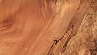 6 Foot Spalted Sycamore Live Edge Table For Sale IMG 0753