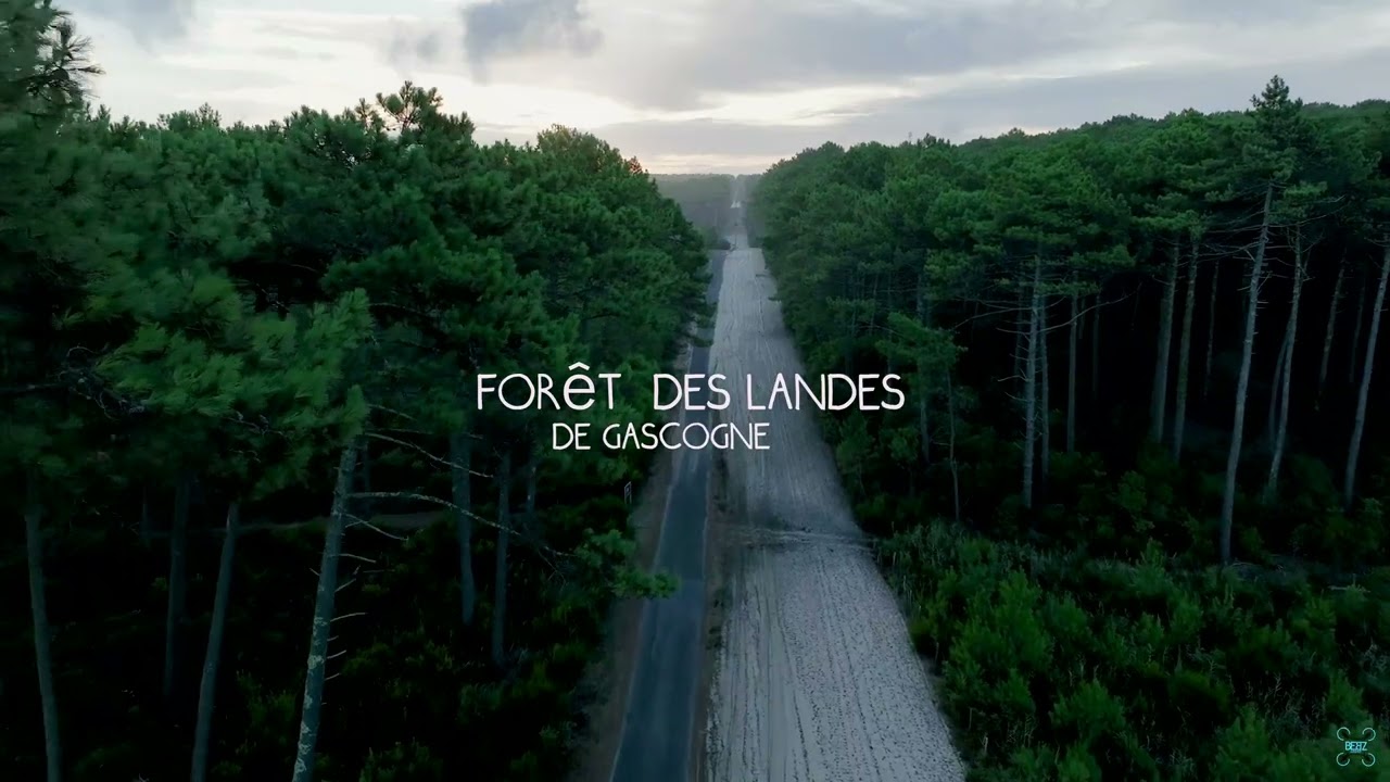 Reportage vidéos et films