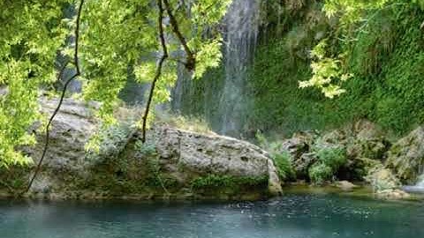 تلاوة جميلة من سورة يوسف بصوت القارئ بريار احمد الكردي