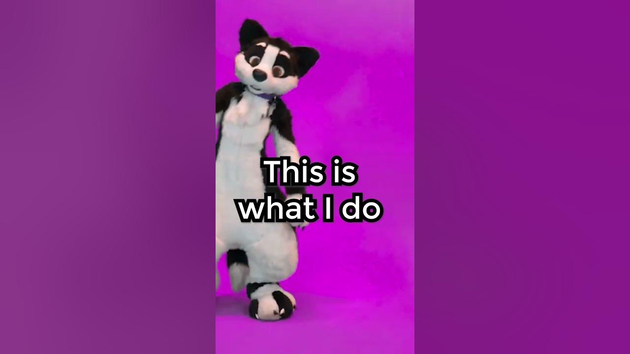 Furry Sits On You Furry shorts YouTube furry-sits-on-you-furry-shorts-youtube