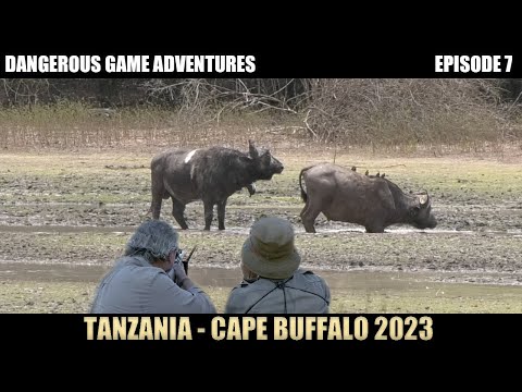 Hunting Cape Buffalo & Hyena in Tanzania