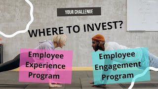 Employee Engagement Programs vs. Employee Experience Programs