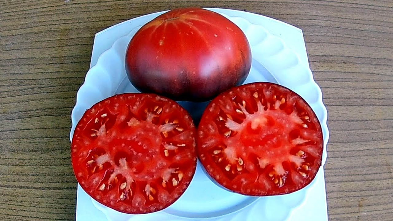 Аметистовая драгоценность томат отзывы