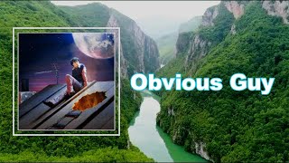 Alfie Templeman - Obvious Guy (Lyrics)