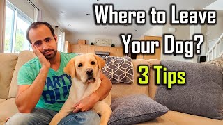 Where to Leave Your Dog When Going On a Vacation (3 Tips in Hindi)
