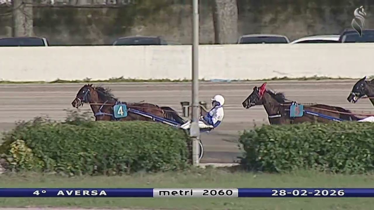 Aversa trotto 28 Febbraio 2026 - 4° Corsa