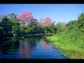 Gaivota Pantaneira - Letra de Paquim Tarciso  e Milton S. Oliveira, música de Dino Rocha