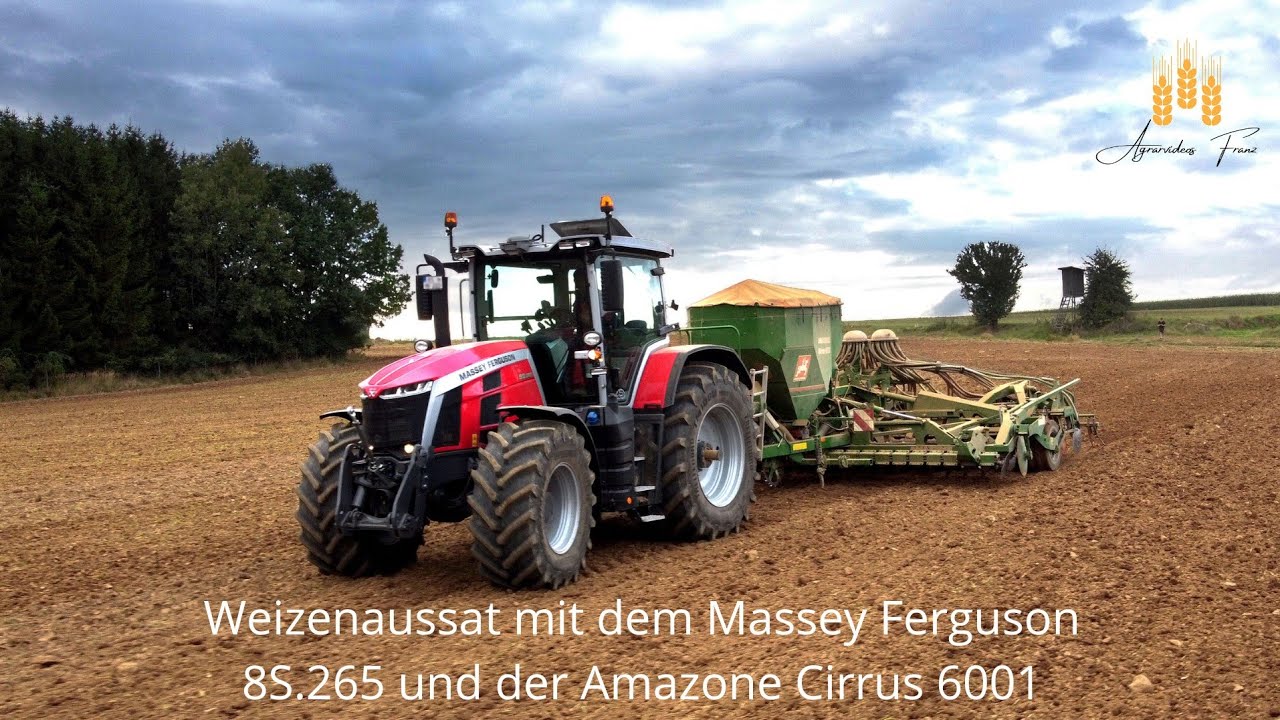 Weizen säen | Massey Ferguson 8S.265 | Amazone Cirrus 6001