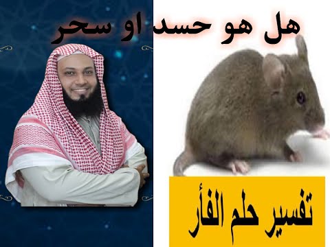 تفسير حلم الفار في المنام هل الفار في المنام حسد او سحر
