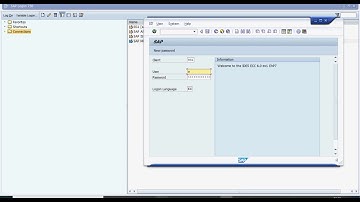 Tutorial Login SAP SCM 600