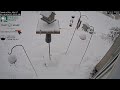 2026-05-17 - Night - Friends of Alta - Alta, UT - Live Stream Bird Feeder Cam (FiRN)