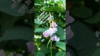 @MrBeastRussian @eusoubaroneshorts #viralvideo #foryouシ