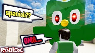 Evil Duolingo Bird Meme In Roblox Why Tho Youtube - 130 best albert images in 2019 flamingo roblox memes