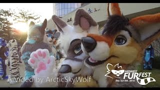 Felt This Good - Arctic's Midwest Furfest 2016 Con Video!