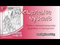 02-12. Вина, милость и взыскание долгов - Исцеление Чувств, Д. С