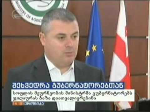 შეხვედრა გუბერნატორებთან