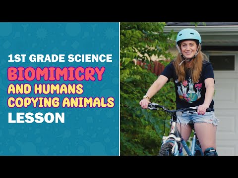 Biomimicry: How Humans Copy Plants and Animals! 🌟 | Fun Science with Ms. Shelley 🧪 | 1st Grade NGSS
