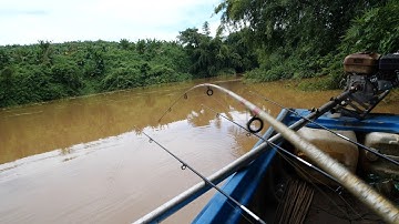 Nước vừa lớn thả cần là bụp ngay ✅