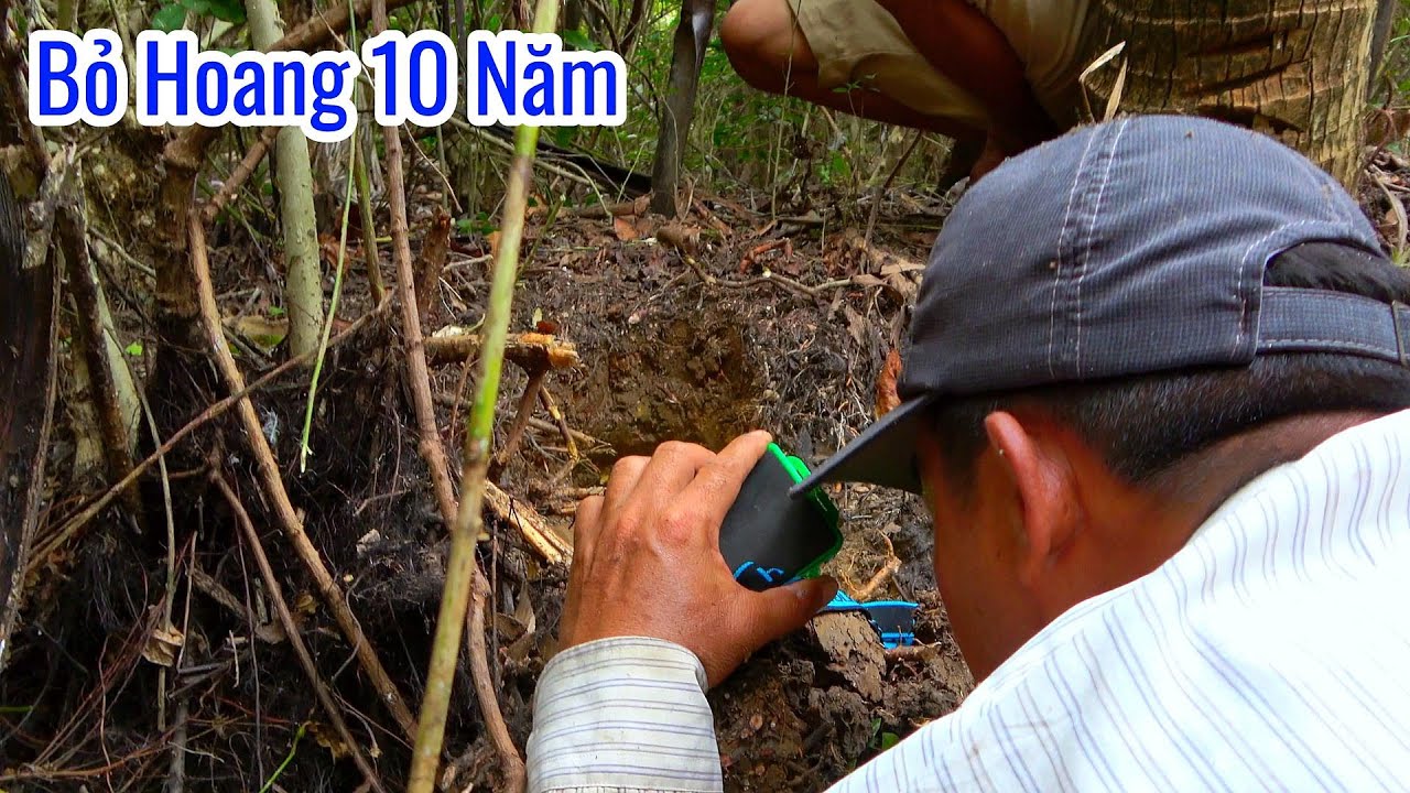 Khu Đất Bỏ Hoang Cả Chục Năm Không Ai Lui Tới| Mười Thương Săn Bắt