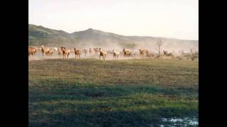 Norman Luboff Choir - Colorado Trail.avi chords