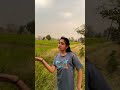कांदी रे लुए कड़क बोझा छत्तीसगढ़ी भूले बिसरे गीत 😅#bindi #dance #cg #viral #short #video #cgsong