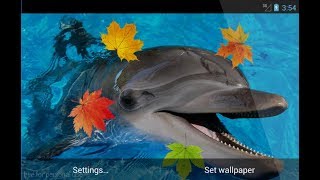 Dolphin 3D Live Wallpaper screenshot 3