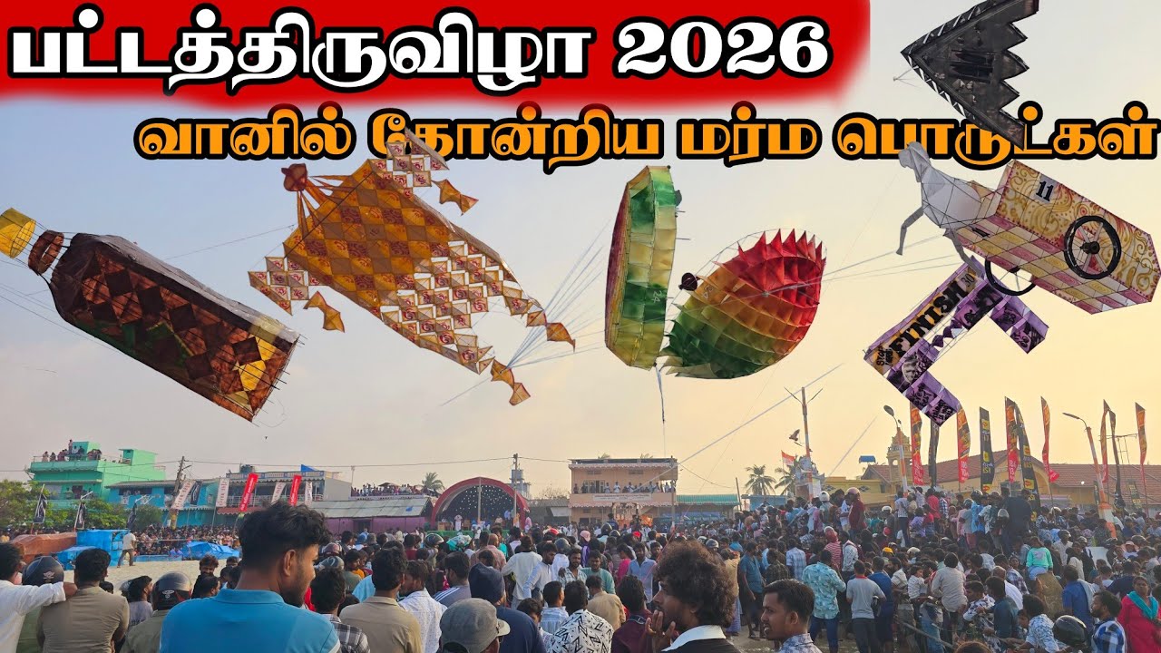யாழ்ப்பாணத்தில் களைகட்டிய பட்டத்திருவிழா 2026 வியக்க வைக்கும் பட்டங்கள் pongal celebration jaffna