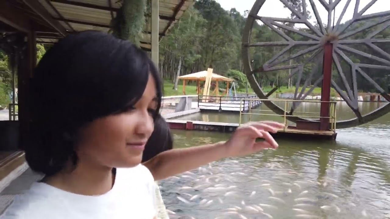 HOGA Gaharu Tea Valley Perak