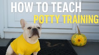 How to crate train?