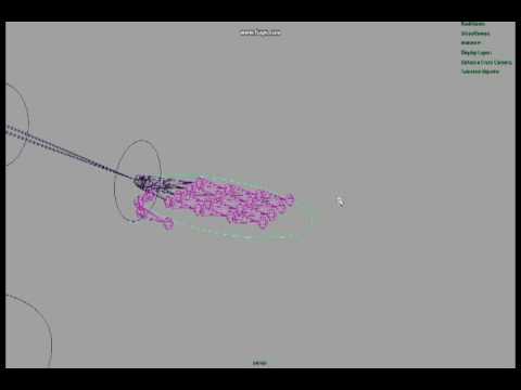 Arms and Hands Rig.avi