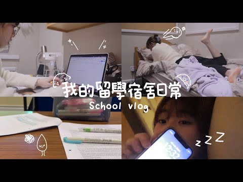 School Vlog 🏫 在英國留學和宿舍日常 | 如何在學校渡過週末
