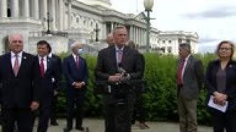 McCarthy: House proxy voting is unconstitutional