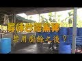 我們的島 尋味台灣黑豬-禁用廚餘之後？(第999集 2019-04-08)