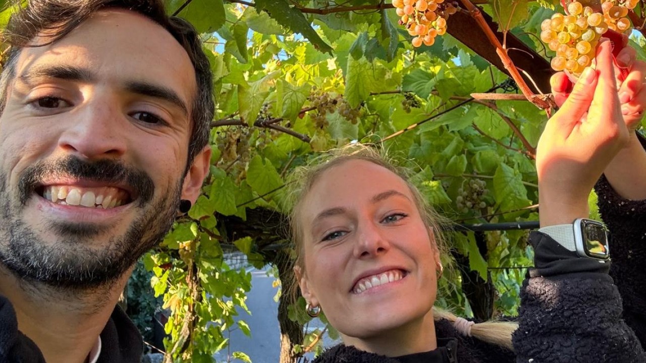 Our First Grape Harvest in Portugal 🍇 | Vinho Verde Production & Puppies!