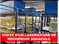 Visite dun laboratoire de recherche aquacole