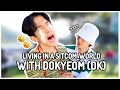 Living in a sitcomworld with dokyeom dk