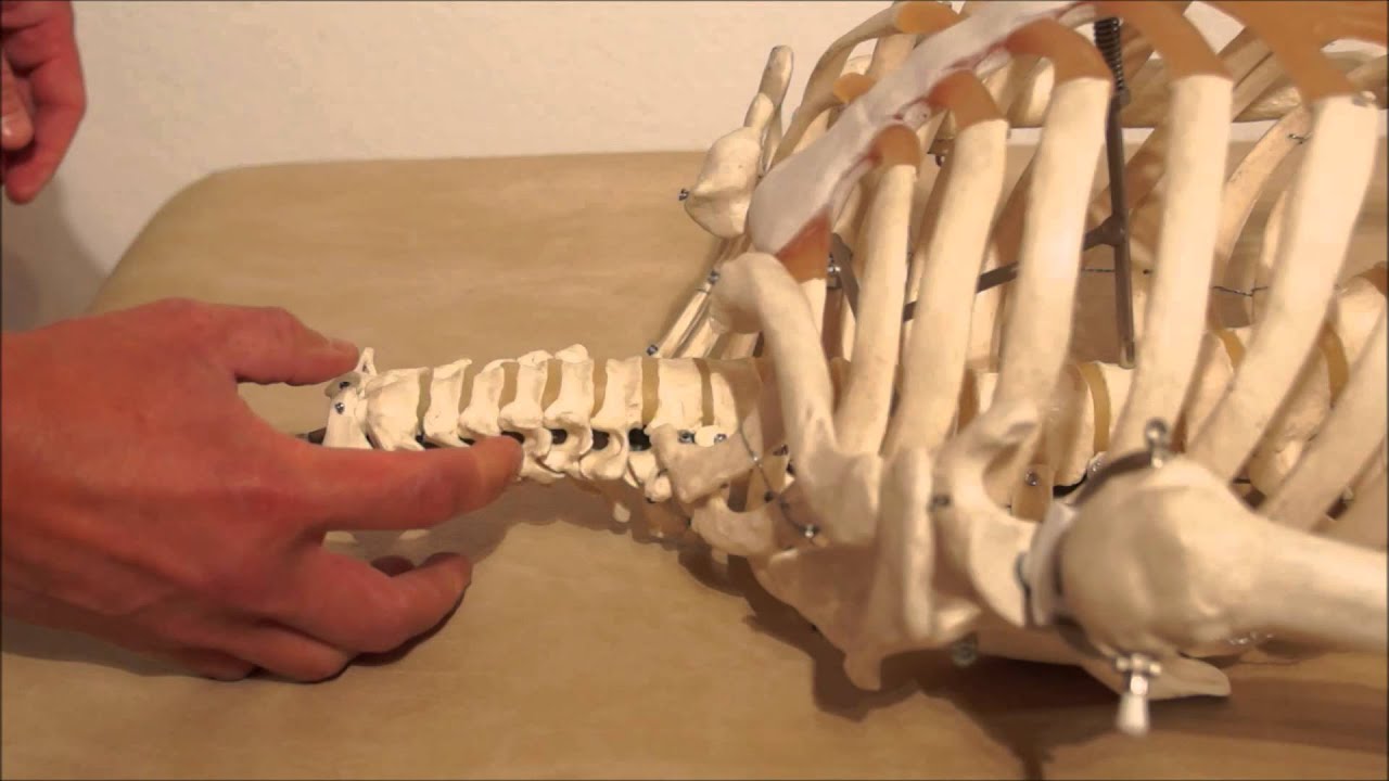 Grundregeln für die Manipulation an der HWS