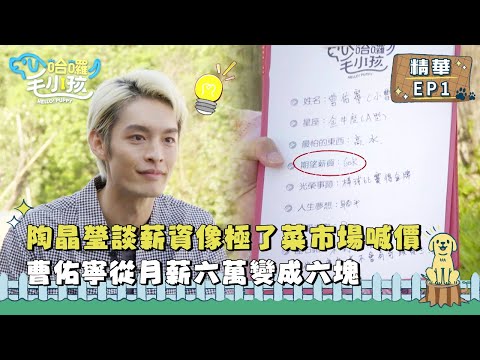 【哈囉！毛小孩】EP01精華｜陶晶瑩談薪資像極了菜市場喊價 曹佑寧從月薪六萬變成六塊