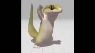 Dancing lizard video..try not to laugh