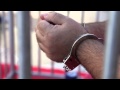 La celda de los Arctic30 llega a Valencia