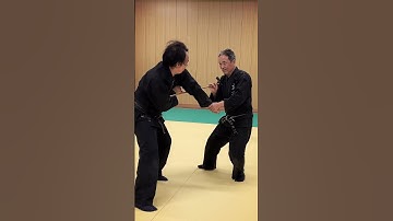 Ninjutsu Bujinkan martial arts training in Japan  #budo #dojo #ninja #samurai