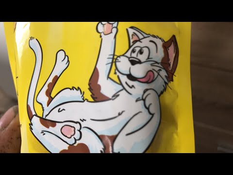 Video: Hiiva-infektio Ja Sammas Kissoilla